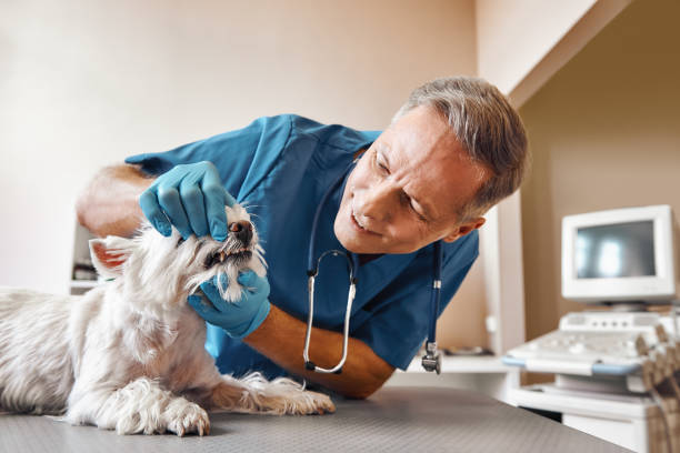 Best Dentist for Tooth Abscess  in Burleson, TX